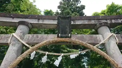 渋川八幡宮の鳥居