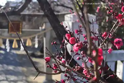 北野神社(東京都)