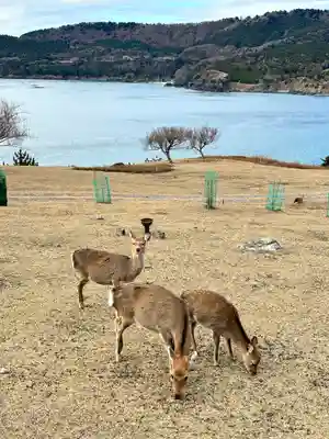金華山黄金山神社(宮城県)
