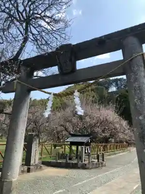 菅原神社(鹿児島県)