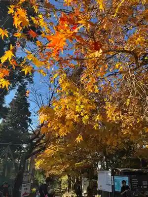 葛木神社の自然