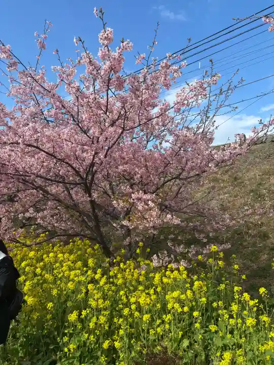 かっぱの寺 栖足寺の{uncategorized: "未分類", other: "その他", undefined: "問題あり", building: "その他建物", grave: "お墓", sacred_gate: "鳥居", guardian: "狛犬", statue: "像", buddha: "仏像", history: "歴史", nature: "自然", garden: "庭園", animal: "動物", pagoda: "塔", temizu: "手水舎", mountain_gate: "山門・神門", sanctuary: "本殿・本堂", subordinate: "末社・摂社", art: "芸術", scenery: "景色", jizo: "地蔵", ema: "絵馬", goshuin: "御朱印", omikuji: "おみくじ", items: "授与品その他", amulet: "お守り", goshuincho: "御朱印帳", eats: "食事", festival: "お祭り", votive_dance: "神楽", shichigosan: "七五三参", wedding: "結婚式", experience: "体験その他", initially: "初詣", around: "周辺", anti_infection: "感染症対策"}
