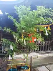 菊田神社の建物その他