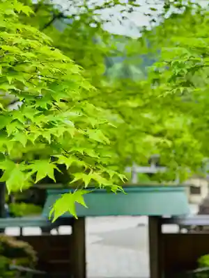 古峯神社(栃木県)