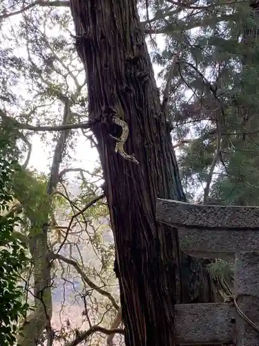 高岡神社(岡山県)