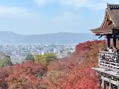 清水寺(京都府)