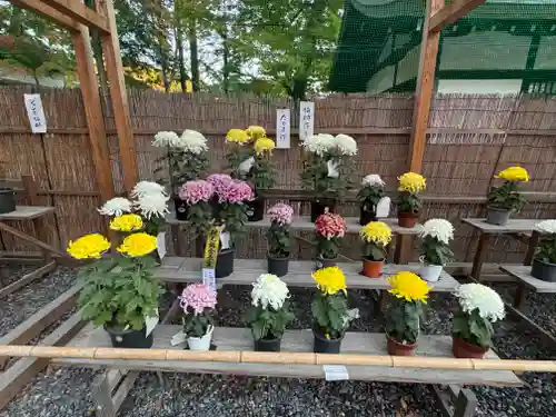 諏訪大社下社秋宮(長野県)