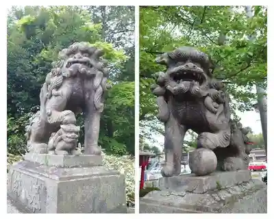 神炊館神社 ⁂奥州須賀川総鎮守⁂の狛犬