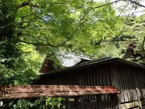 金崎宮の本殿・本堂