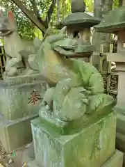 渋谷氷川神社の狛犬