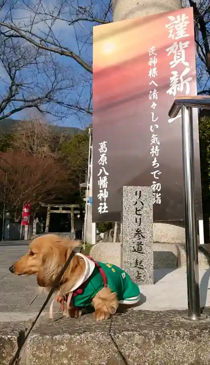 葛原八幡神社の{uncategorized: "未分類", other: "その他", undefined: "問題あり", building: "その他建物", grave: "お墓", sacred_gate: "鳥居", guardian: "狛犬", statue: "像", buddha: "仏像", history: "歴史", nature: "自然", garden: "庭園", animal: "動物", pagoda: "塔", temizu: "手水舎", mountain_gate: "山門・神門", sanctuary: "本殿・本堂", subordinate: "末社・摂社", art: "芸術", scenery: "景色", jizo: "地蔵", ema: "絵馬", goshuin: "御朱印", omikuji: "おみくじ", items: "授与品その他", amulet: "お守り", goshuincho: "御朱印帳", eats: "食事", festival: "お祭り", votive_dance: "神楽", shichigosan: "七五三参", wedding: "結婚式", experience: "体験その他", initially: "初詣", around: "周辺", anti_infection: "感染症対策"}