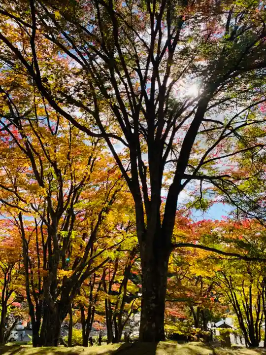 土津神社|こどもと出世の神さまの自然