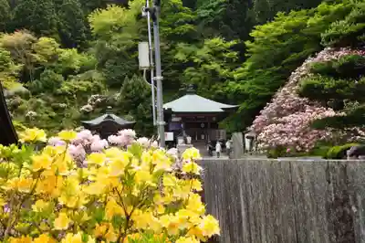 横峰寺(愛媛県)