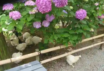 高屋敷稲荷神社(福島県)