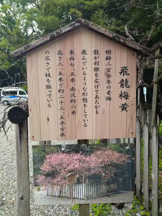 潮江天満宮の自然