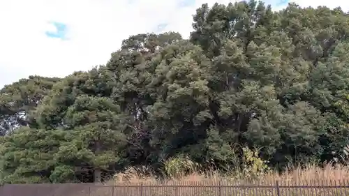 菟道稚郎子尊宇治墓のお墓