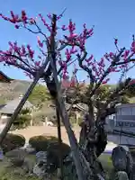 大成寺(福井県)