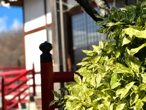 長光寺のその他建物