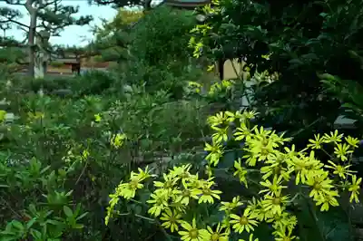 白山媛神社(新潟県)