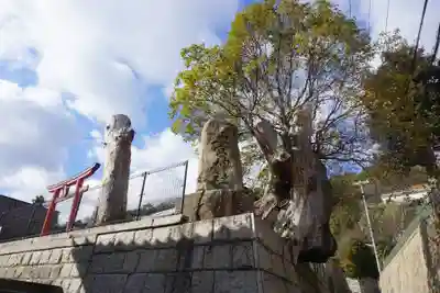 五宮神社のその他建物