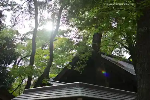 意富比神社(千葉県)
