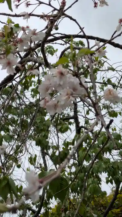 道明寺(大阪府)