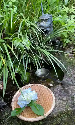 本土寺の手水舎