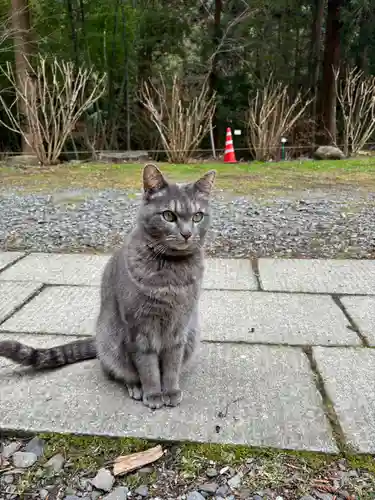 鷲子山上神社(栃木県)