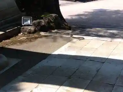 岡太神社・大瀧神社(福井県)