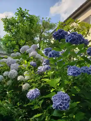 本郷氷川神社(東京都)