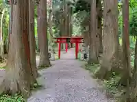 桜松神社の自然
