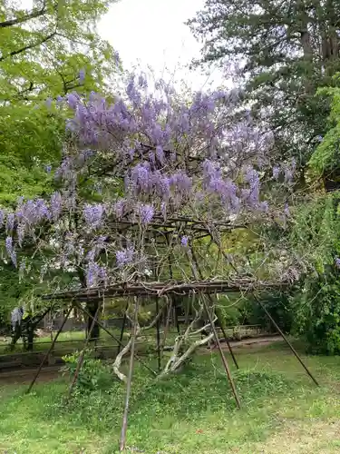青葉神社の自然