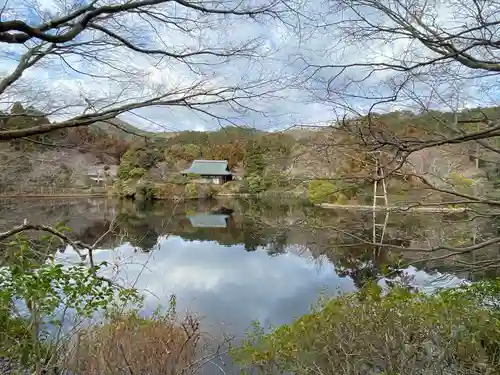 龍安寺(京都府)