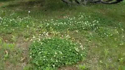 士幌神社の自然
