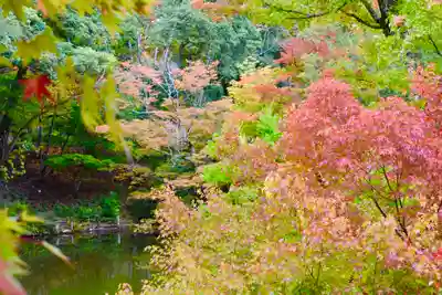 成相寺(京都府)