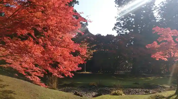 毛越寺(岩手県)