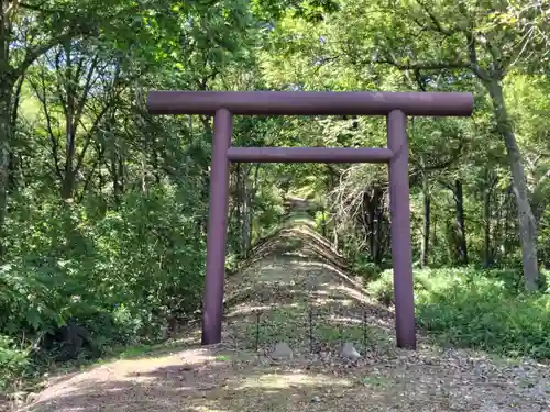 大國神社の鳥居
