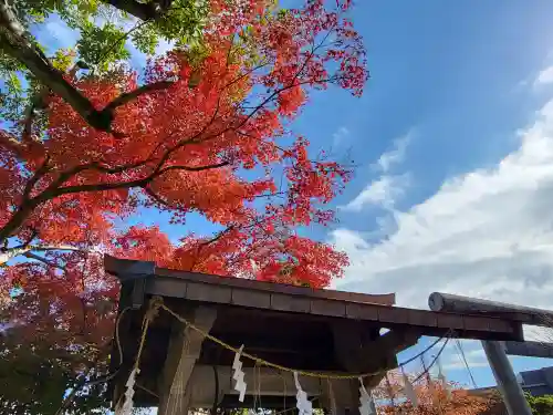 熊本大神宮(熊本県)