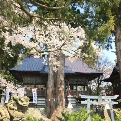 高司神社〜むすびの神の鎮まる社〜の本殿・本堂