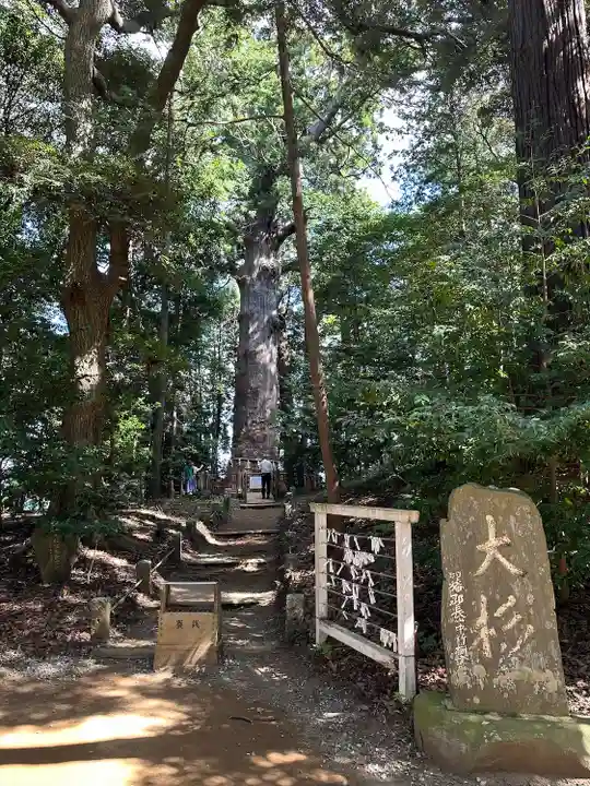麻賀多神社(千葉県)