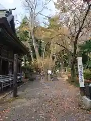 小室浅間神社の建物その他