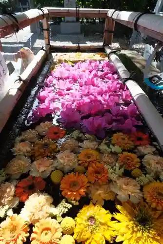 津島神社の手水舎