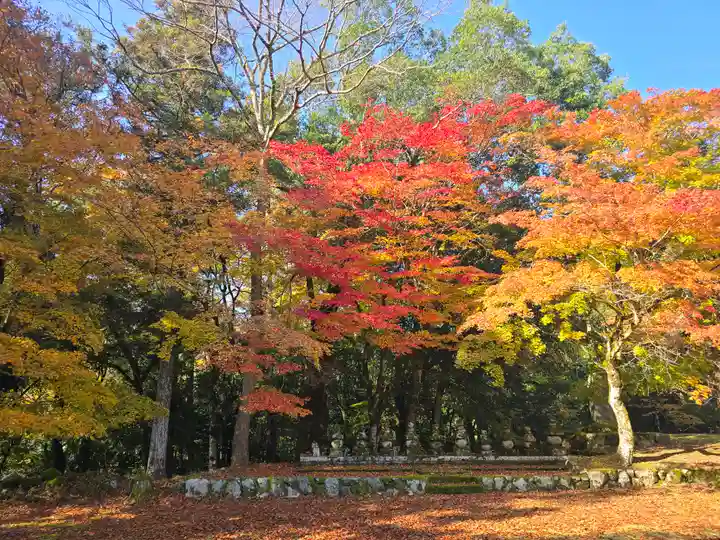 天寧寺(京都府)