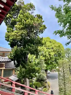 長安寺(神奈川県)