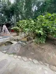 生田神社の自然