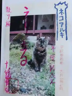 十輪寺(京都府)