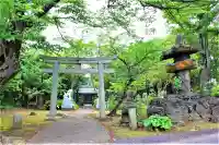 たこ神社の鳥居
