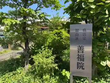 善福院の{uncategorized: "未分類", other: "その他", undefined: "問題あり", building: "その他建物", grave: "お墓", sacred_gate: "鳥居", guardian: "狛犬", statue: "像", buddha: "仏像", history: "歴史", nature: "自然", garden: "庭園", animal: "動物", pagoda: "塔", temizu: "手水舎", mountain_gate: "山門・神門", sanctuary: "本殿・本堂", subordinate: "末社・摂社", art: "芸術", scenery: "景色", jizo: "地蔵", ema: "絵馬", goshuin: "御朱印", omikuji: "おみくじ", items: "授与品その他", amulet: "お守り", goshuincho: "御朱印帳", eats: "食事", festival: "お祭り", votive_dance: "神楽", shichigosan: "七五三参", wedding: "結婚式", experience: "体験その他", initially: "初詣", around: "周辺", anti_infection: "感染症対策"}