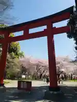平野神社の鳥居