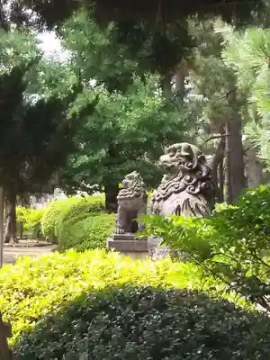 福井神社(福井県)